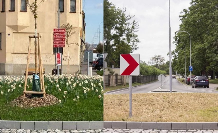 Ze zeleného kruháče suchý plac. Z brněnského objezdu zmizely stromy i kvítí