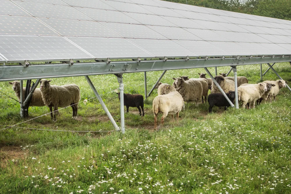 Zelená energetika může v Česku vytvořit přes 100 tisíc pracovních míst