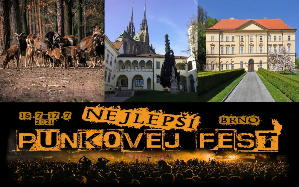 Kam o víkendu? Na festival, do muzea i za vínem do otevřených sklepů