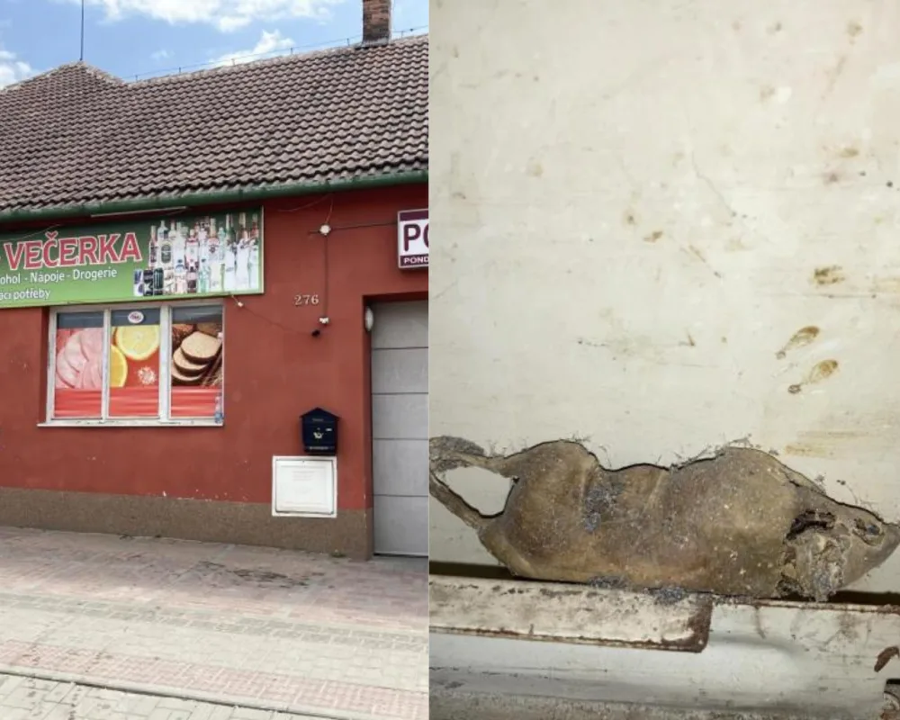 Inspektory přivítaly v jihomoravské večerce myši