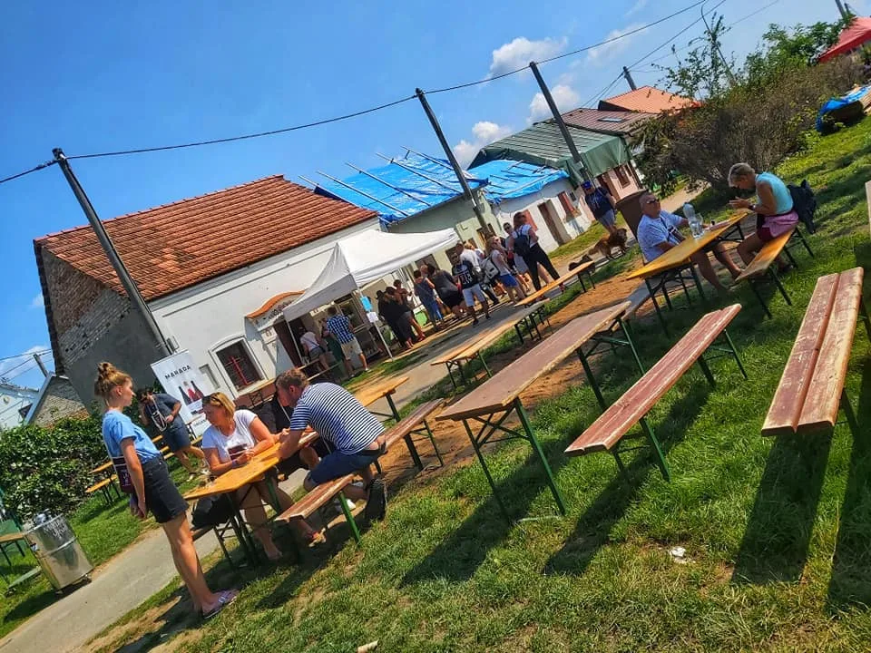 Otevřené sklepy v Mikulčicích.