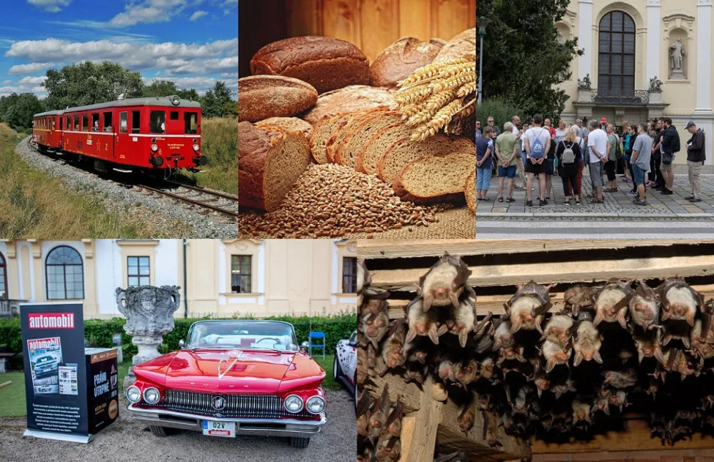 Kam o víkendu? Za netopýry, na motoráček i autentickou prohlídku