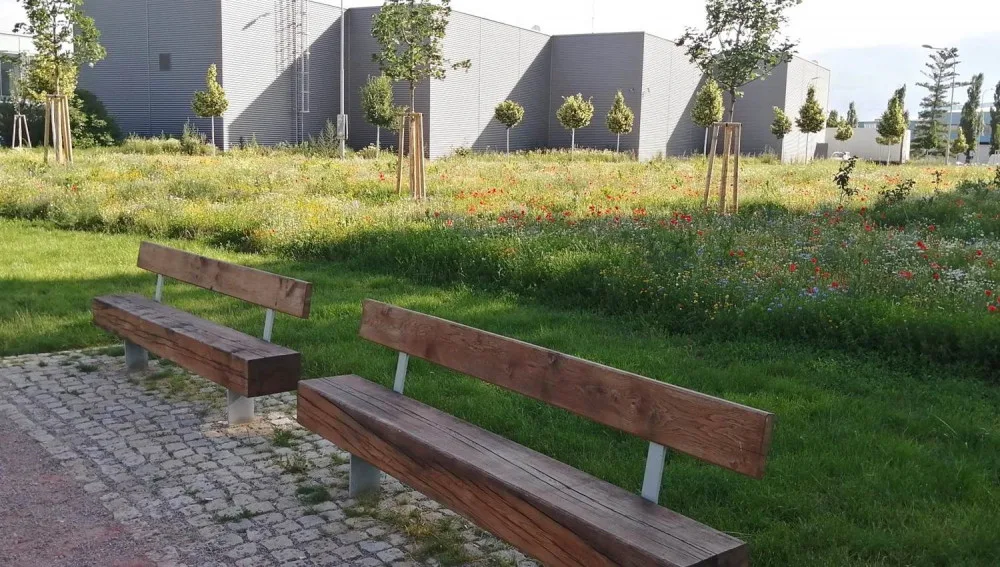 Nový park v Komárově získá jméno v anketě. Navrhovat můžete od září