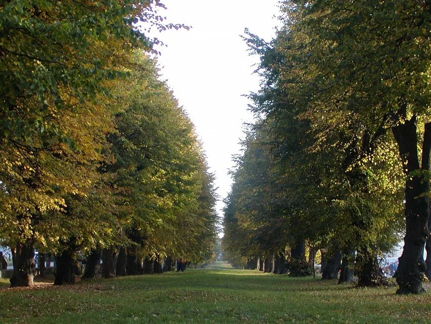 Ilustrační foto.