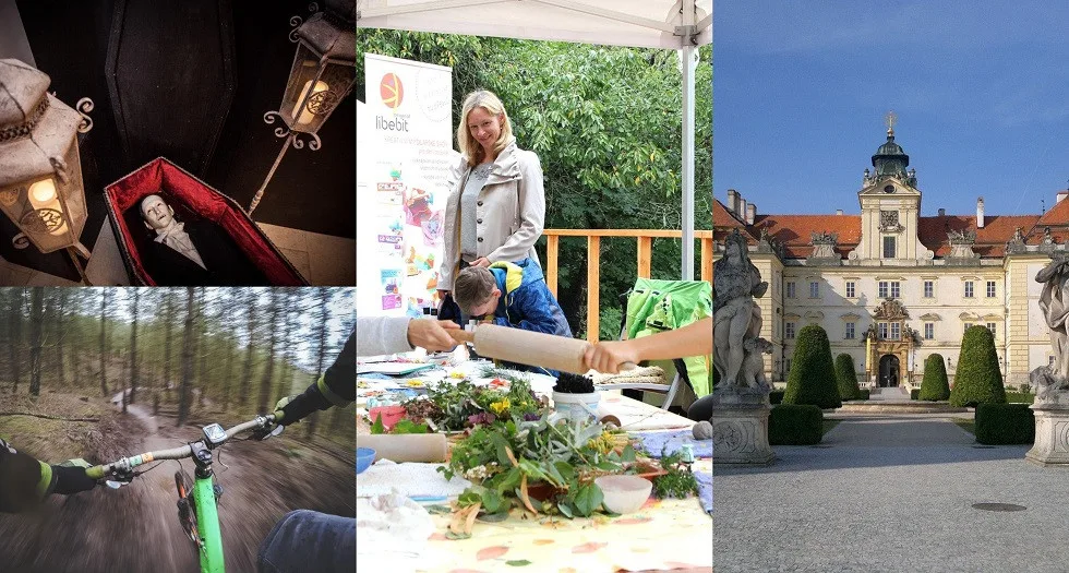Kam o víkendu? Na brněnský festival bylinek nebo strašidelnou výstavu