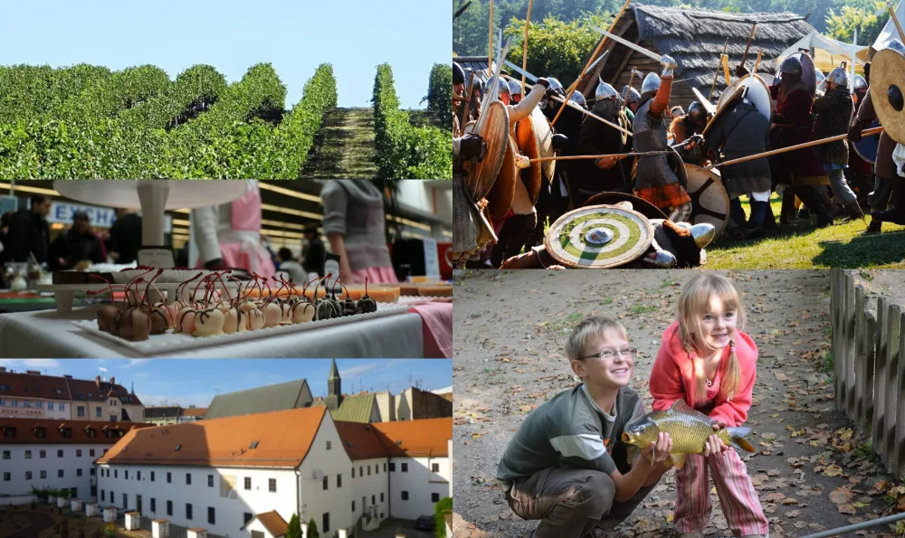 Kam o víkendu na jižní Moravě? Na burčákový pochod, kaprobraní i festival čokolády