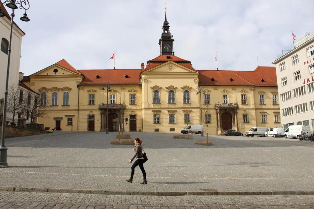 Vysazené platany na Dominikánském náměstí.