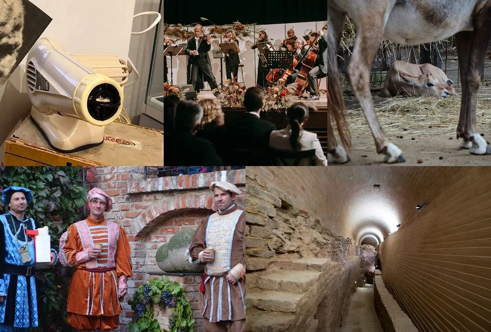 Kam o víkendu na jižní Moravě? Na Den zvířat do zoo i na prohlídku bastionu
