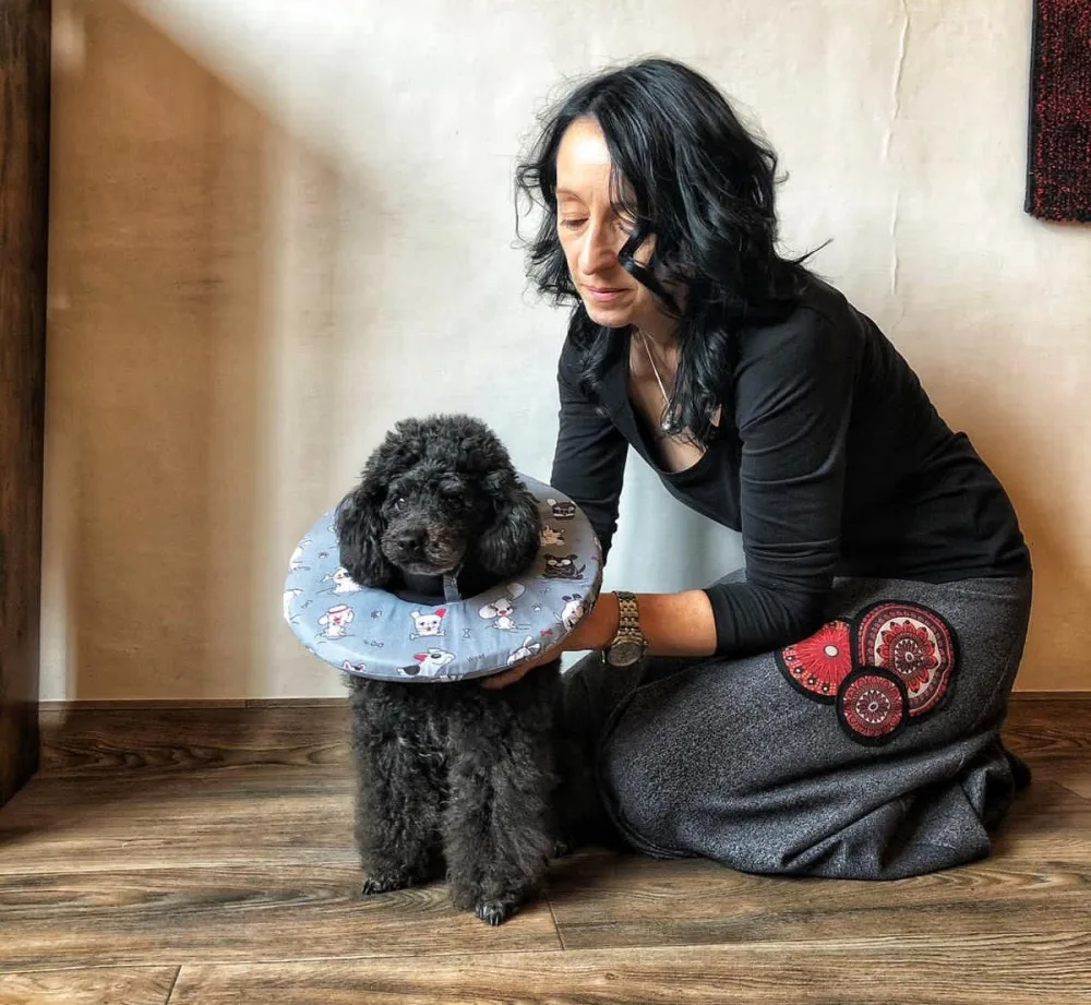 Chtěly usnadnit léčbu svým nemocným pejskům, vytvořily pro ně v době covidu geniální veterinární pomůcku