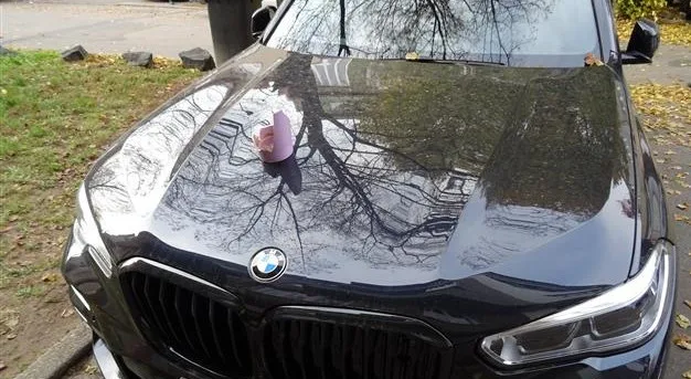 auto a kvetinac