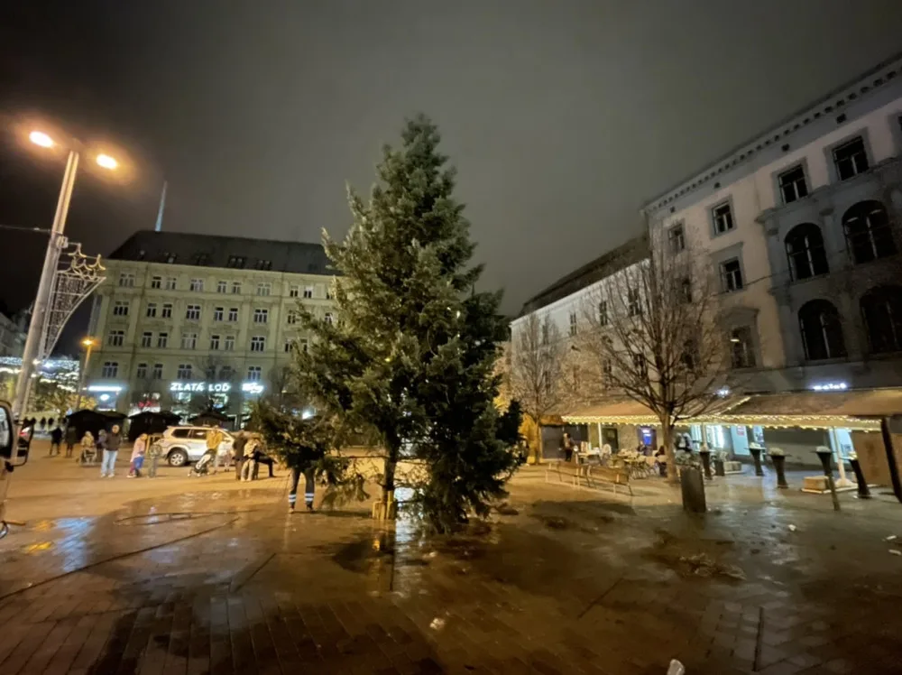 Brnu přivezli vánoční stromeček koně