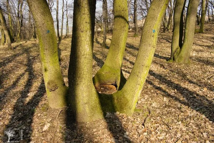 Ilustrační foto.