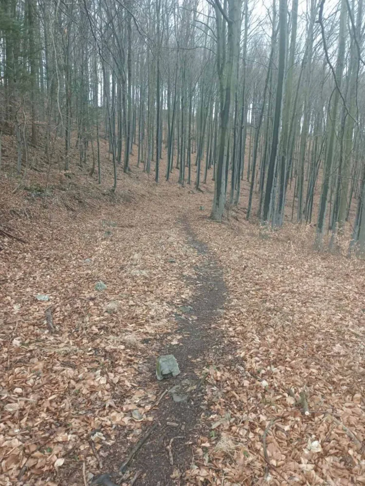 Na Brněnsku hledají nepřítele cyklistů, který na ně nastražil zákeřnou past