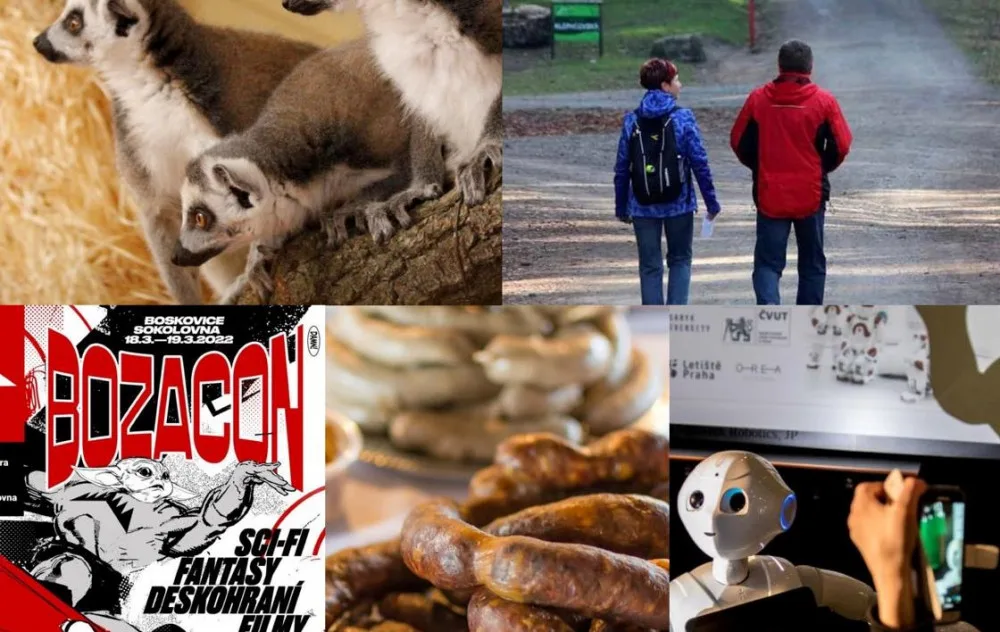 Kam o víkendu na jižní Moravě? Do zoo, na zabíjačku nebo na turistický pochod