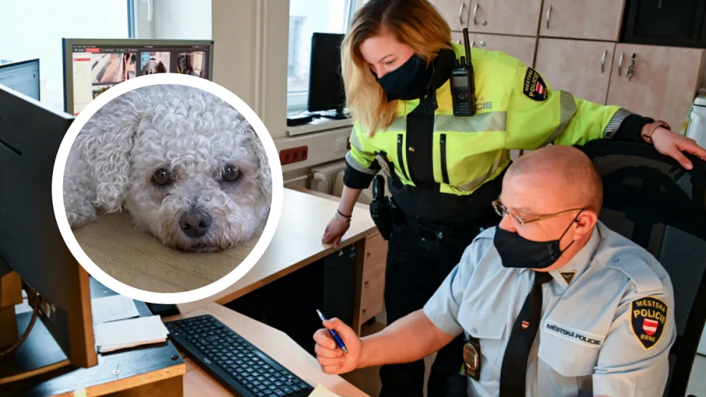 Ilustrační foto.