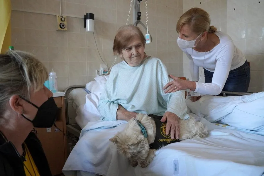 Do blanenské nemocnice se vrací po covidu pejsci. Pomáhají s rehabilitací pacientů
