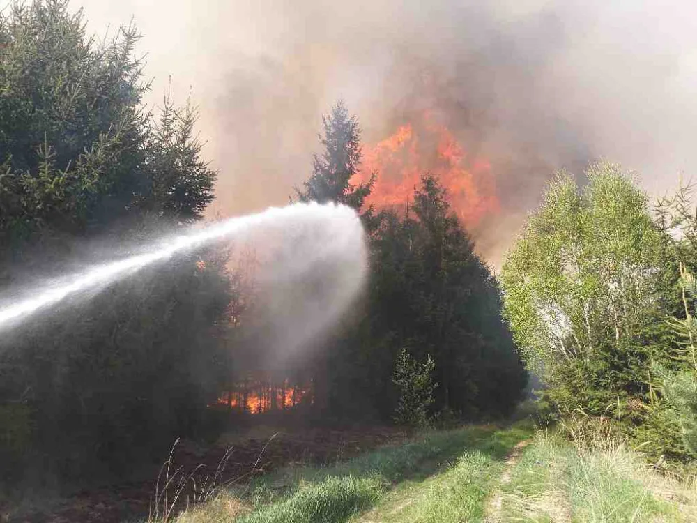 Lesy budou v Česku hořet čím dál častěji. Na vině je klimatická změna a bezohlední návštěvníci
