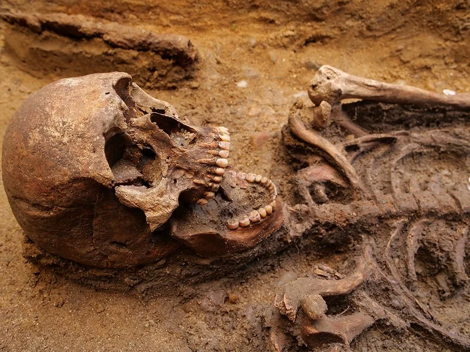 Archeologové našli na jižní Moravě kostru germánského bojovníka pohřbeného se psy