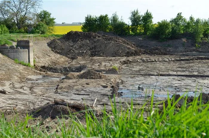 U Vyškova opravují zanesenou vodní nádrž. Nabídne přírodní koupání