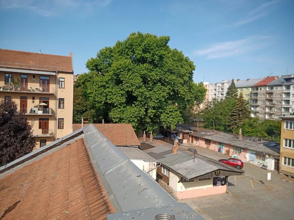 Lužánečtí jsou proti stavbě nového věžáku. Zničí stromy, říkají
