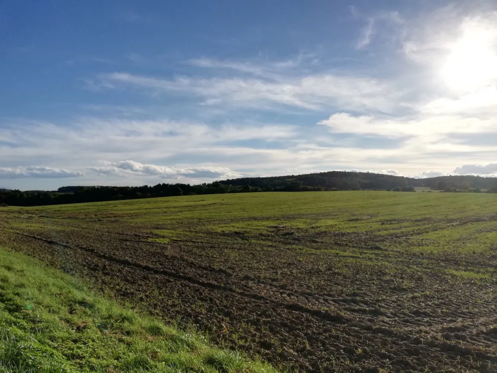 Ilustrační foto.
