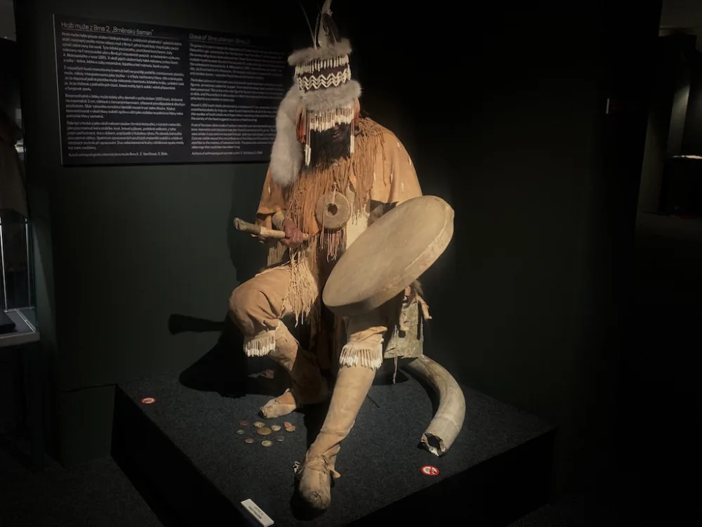 Výstava v Brně ukáže pravěké šperky nebo Věstonickou venuši