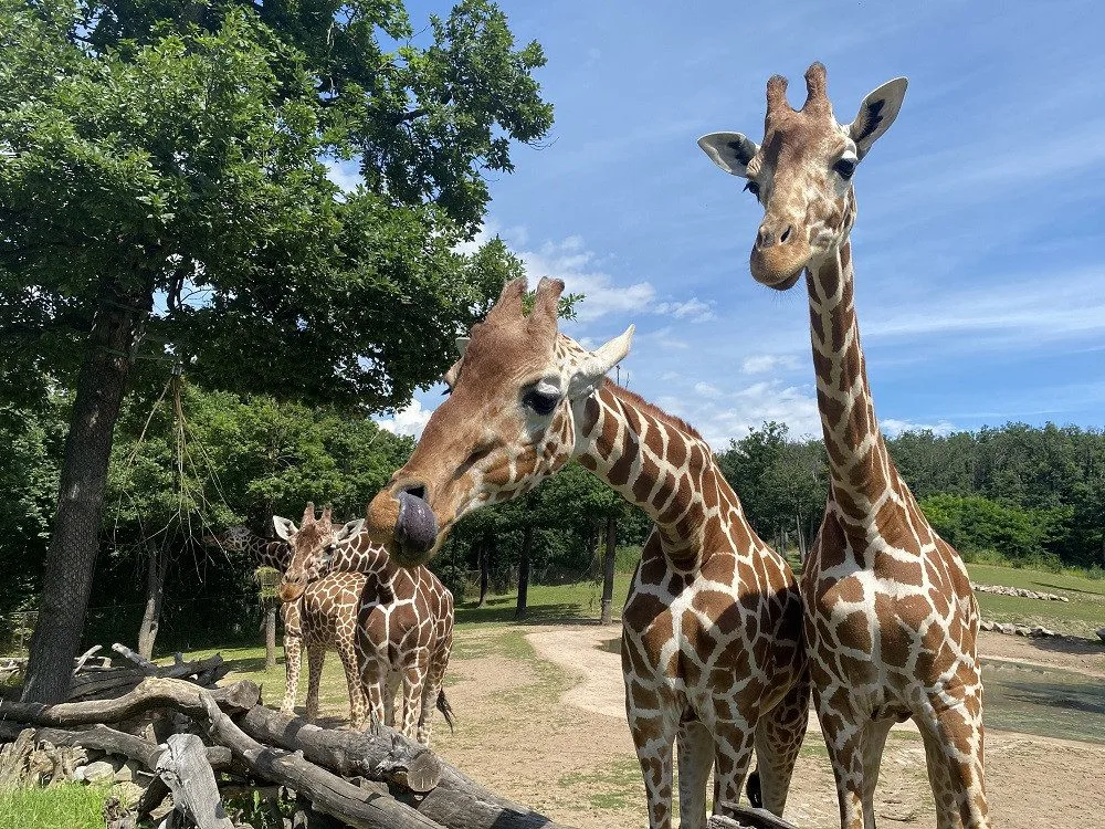 Ilustrační foto.
