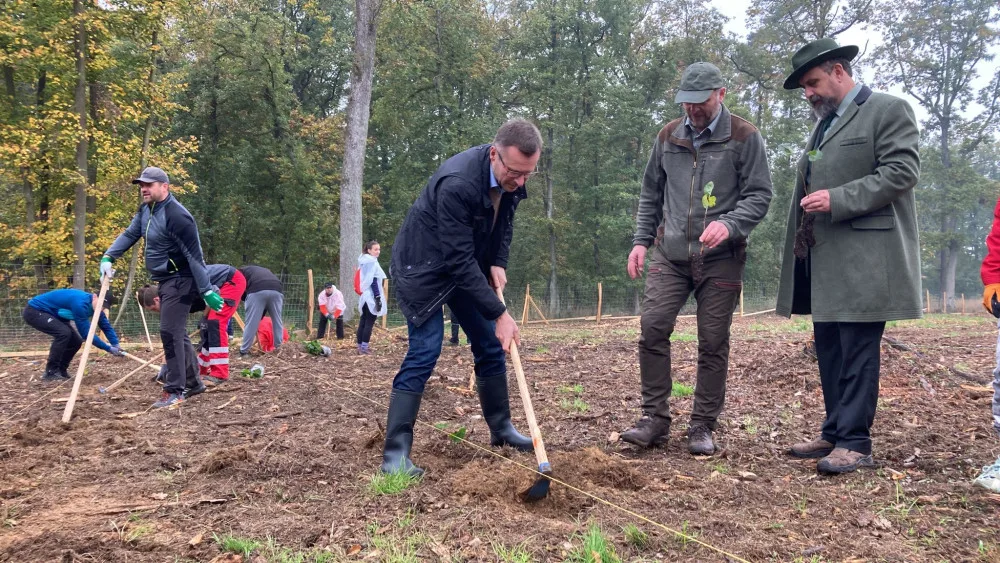 Ministr Nekula sází lípy v Mariánském údolí u Brna