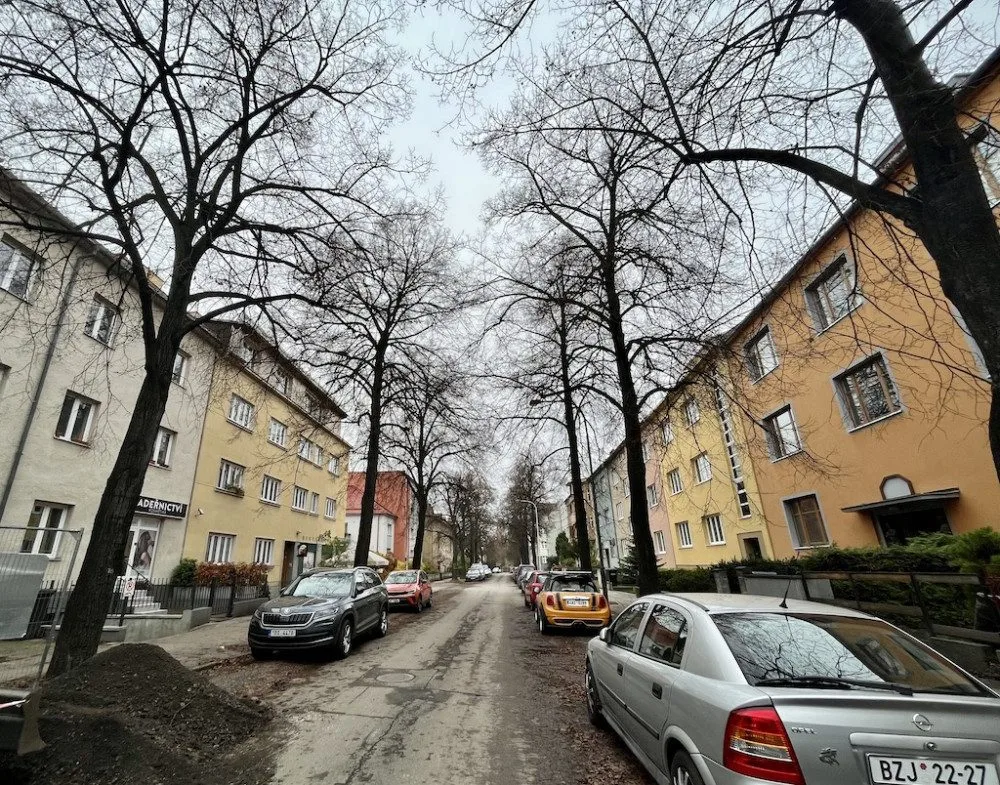 V Brně vykácí stoletou lipovou alej. Nemáme na výběr, hlásí město