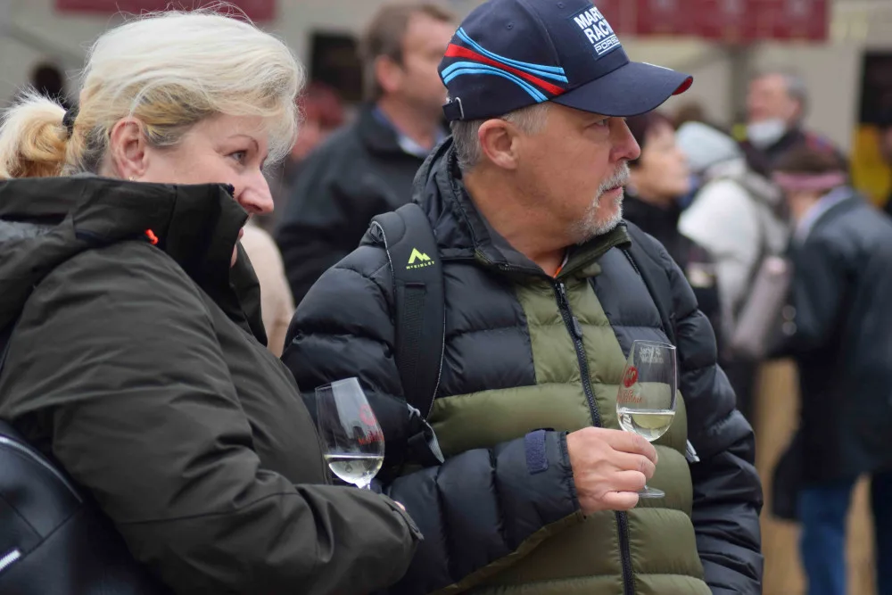 Brno se těší na rekordní ročník Svatomartinského koštu vín
