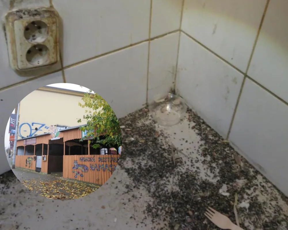 Vyhlášená indická restaurace v Brně byla plná špíny a myších výkalů