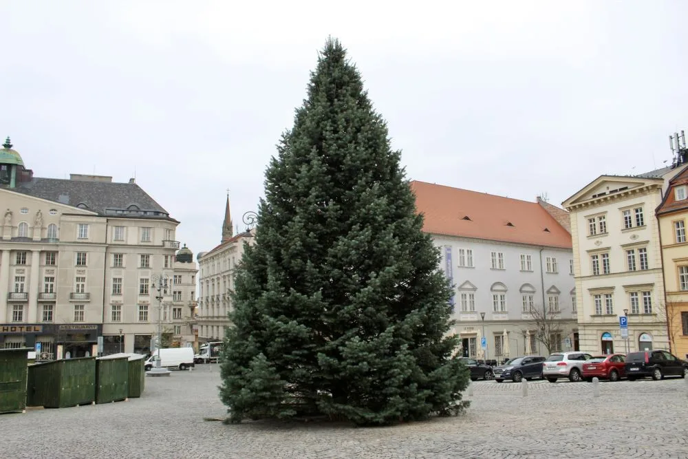 Brno se chystá na Vánoce. Dělníci staví stánky a na Zelňáku už mají strom