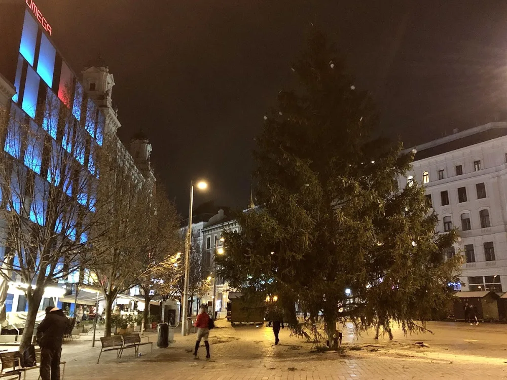 Brno má vysoký vánoční strom. Smrk přijel na náměstí Svobody autem