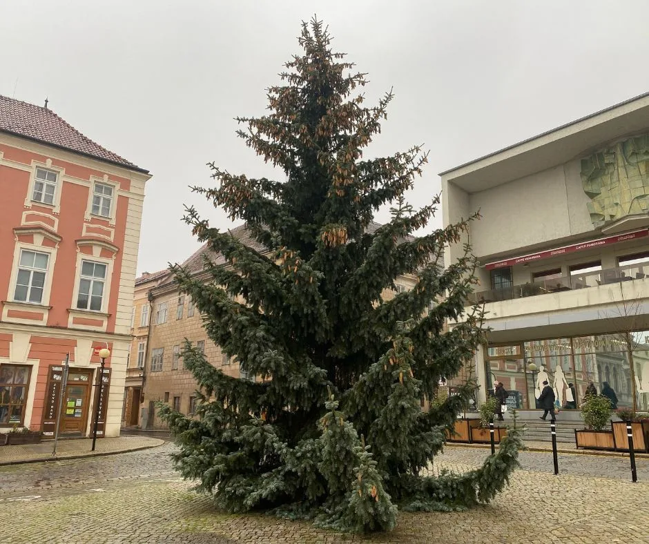Dva stromy, ruské kolo i výzdoba jako v Praze. Znojmu advent nezkazí ani ceny energií