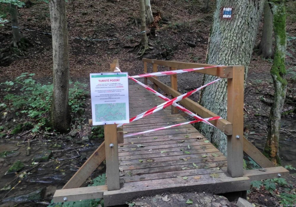 Lesníci kvůli suchu pokácí stromy v Moravském krasu. Nechtějí, aby padaly na turisty