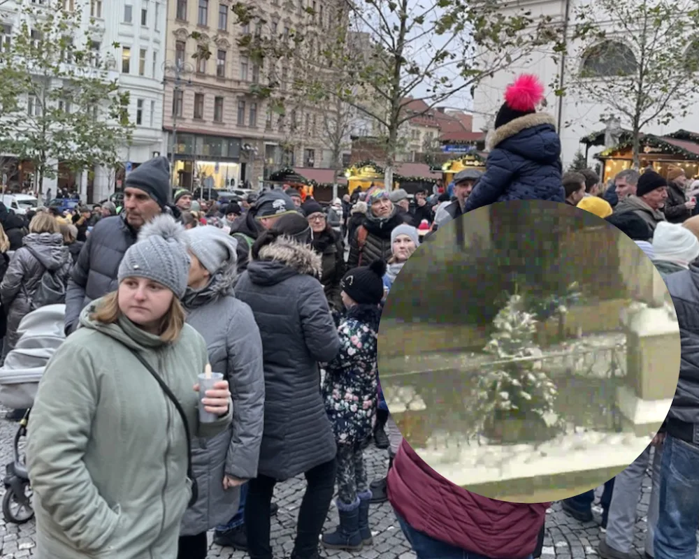 Před brněnskou radnicí zmizel vánoční stromek. Ukradl ho mladý pár