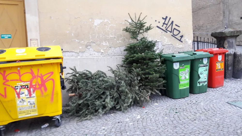 Ilustrační foto. Vedle kontejnerů stromy nepatří, upozorňují popeláři.