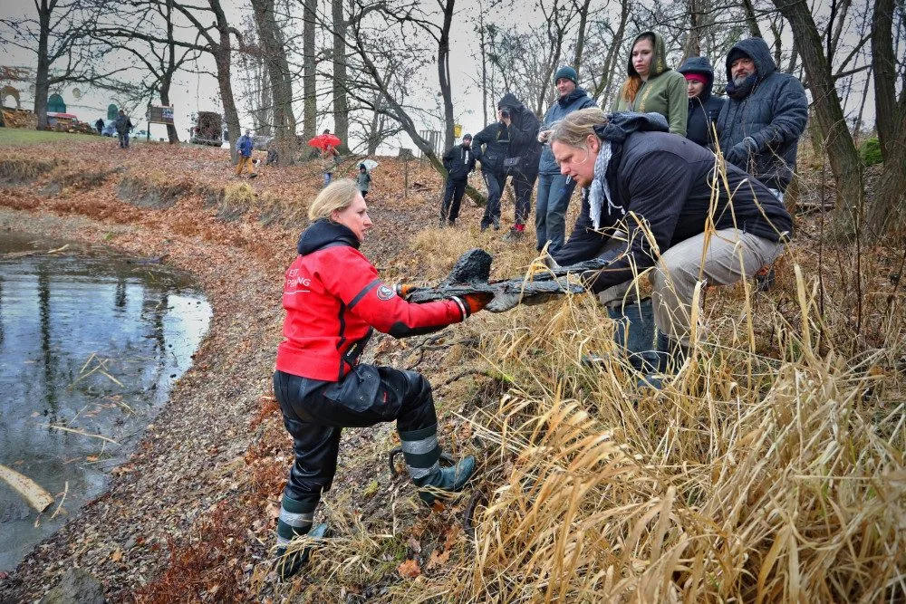 Řeka Dyje vydala vzácný nález. Archeologové vytáhli plavidlo z raného novověku