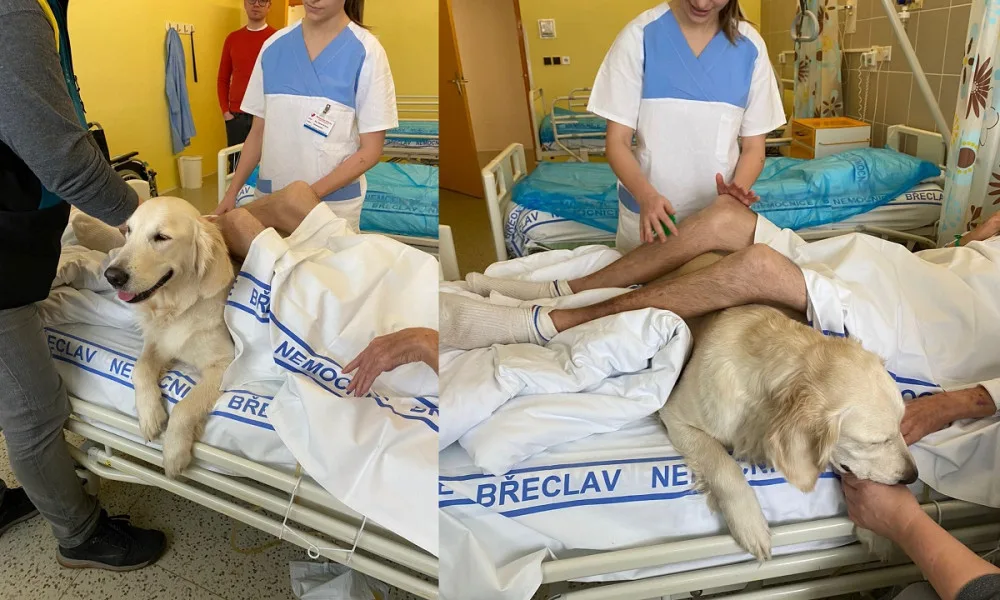 Pacienty břeclavské nemocnice rozradostnili psí terapeuti