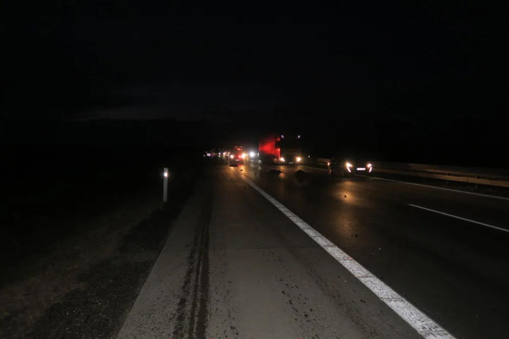 Na dálnici u Brna vběhlo stádo divokých prasat. Způsobilo hromadnou nehodu