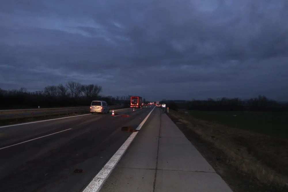 Na dálnici u Brna vběhlo stádo divokých prasat. Způsobilo hromadnou nehodu