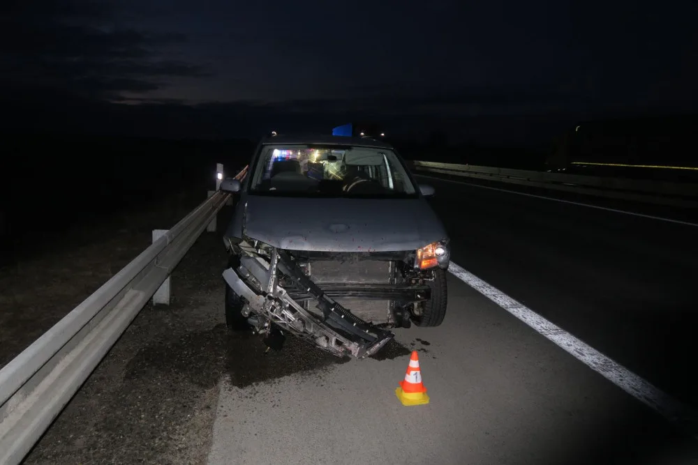 Na dálnici u Brna vběhlo stádo divokých prasat. Způsobilo hromadnou nehodu