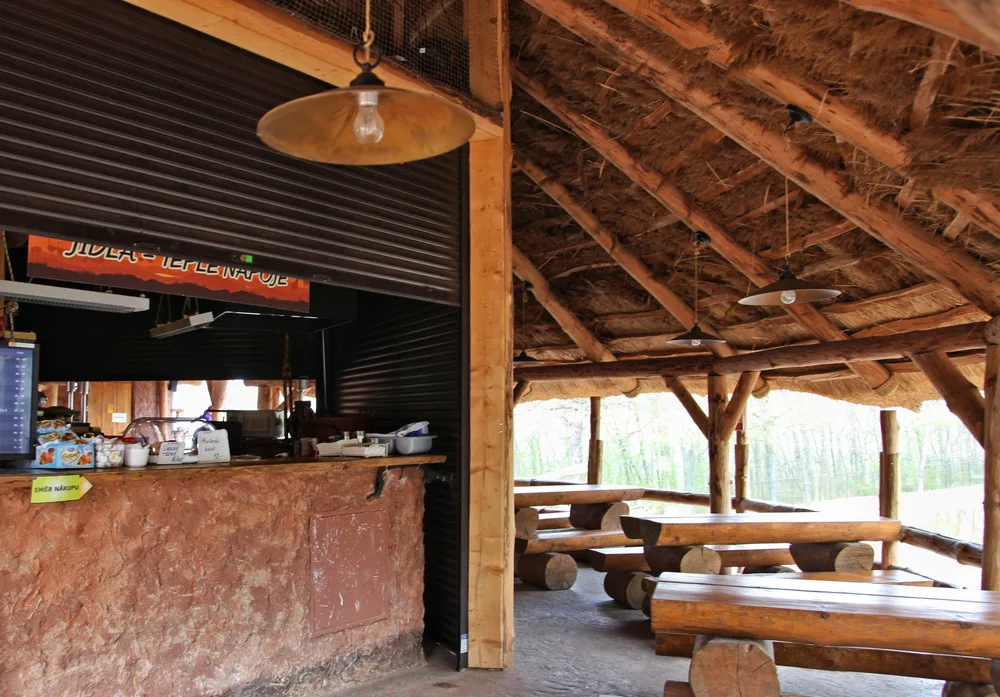 Brněnská zoo změní občerstvení. Věří, že lidé více ocení veganské jídlo než smažák