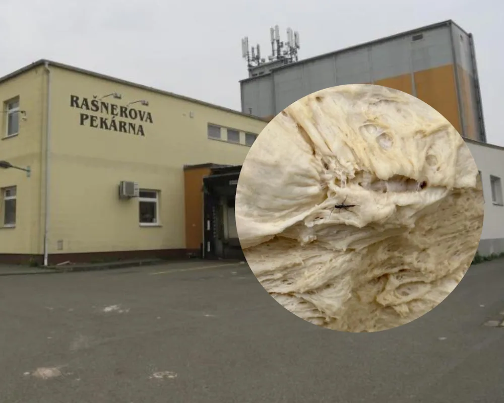 Vyškovská pekárna má utrum. Byla plná hmyzu, špíny a plísně
