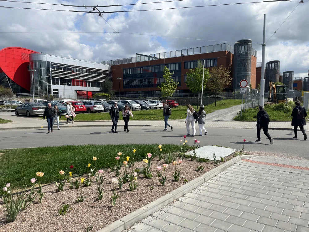 Lidé mířící do kampusu a zpět volí cestu přes silnici a záhony, jelikož nejbližší chodník je v opačném směru.