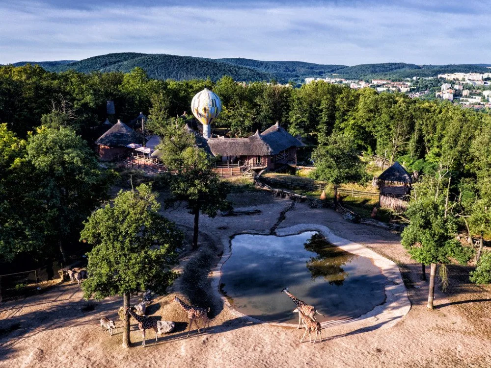 Přijďte na akci Ať je klima v Brně prima aneb dny životního prostředí do brněnské ZOO