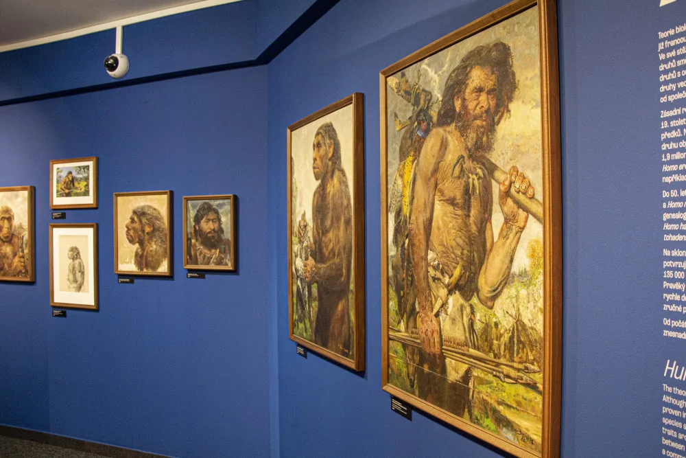 Burianovi lovci mamutů jsou opět k vidění v Pavilonu Anthropos