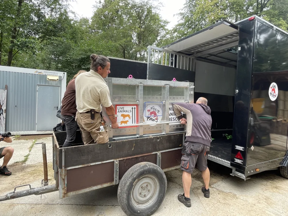 Aufwiedersehen Charloto. Hodonín poslal do světa oblíbenou bílou tygřici