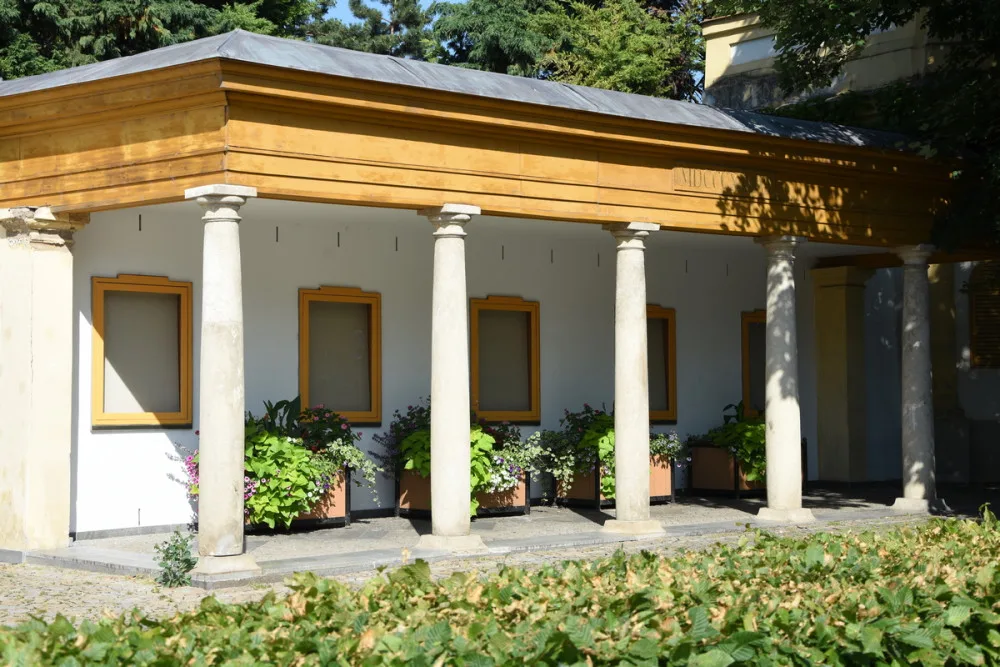 Image (1)