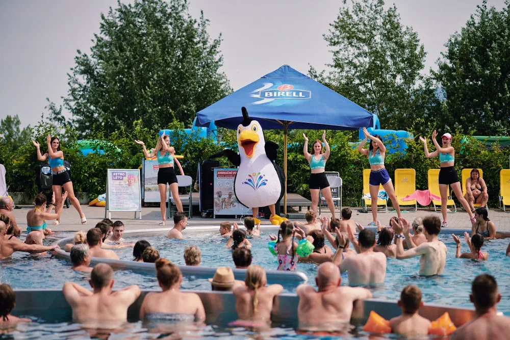 Aqualand Moravia vpustil mezi tobogány zvíře. Tučňák s rukávky se jmenuje Eda
